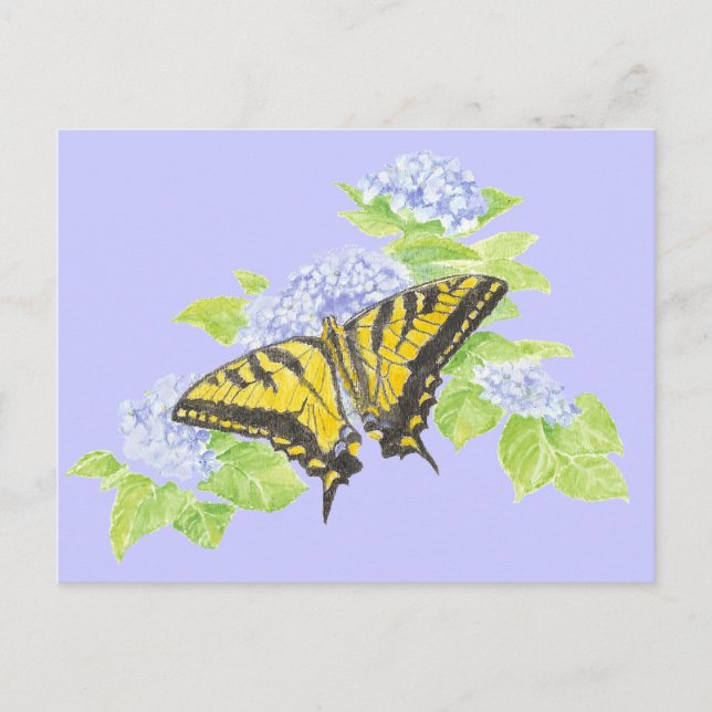 Swallowtail Butterfly on Hydrangea Flower art Postcard (Front)