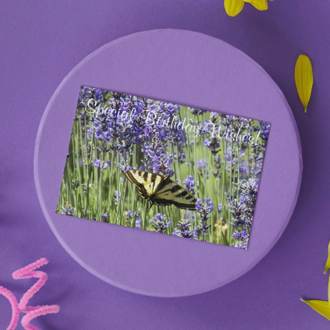 Swallowtail Butterfly on Lavender Blooms Birthday Card (In Situ)