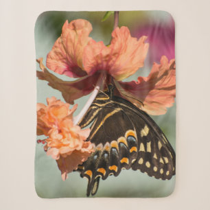 Swallowtail Butterfly On Orange Hibiscus Sherpa Blanket