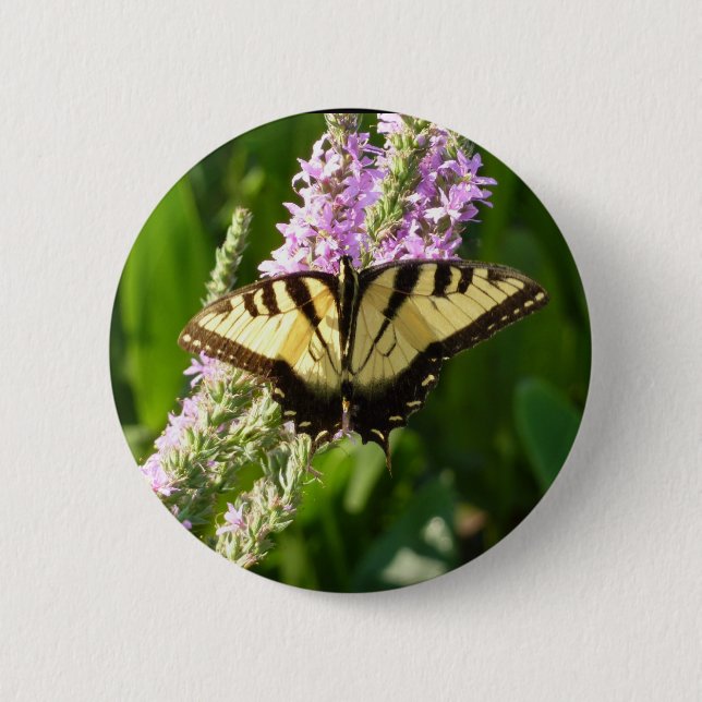 Swallowtail Butterfly on Purple Wildflowers 6 Cm Round Badge (Front)
