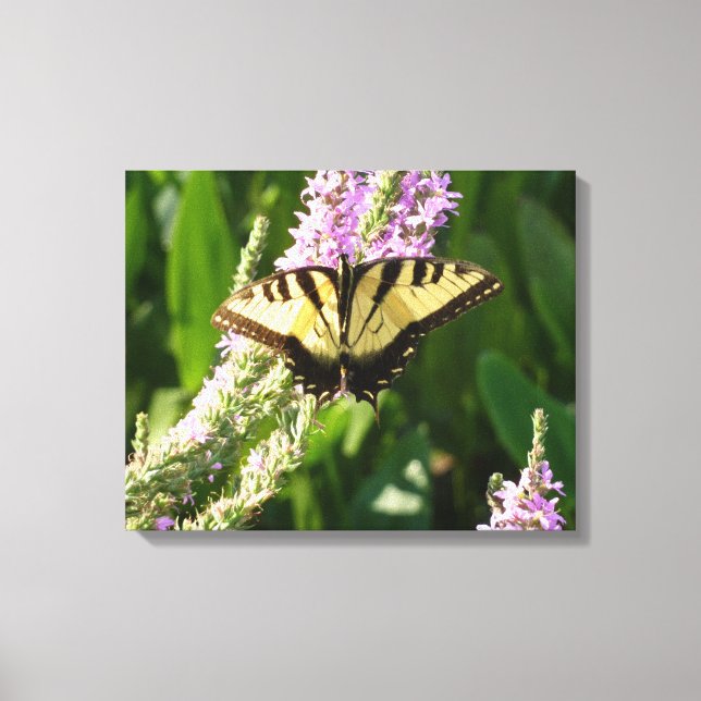 Swallowtail Butterfly on Purple Wildflowers Canvas Print (Front)