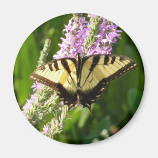 Swallowtail Butterfly on Purple Wildflowers Magnet