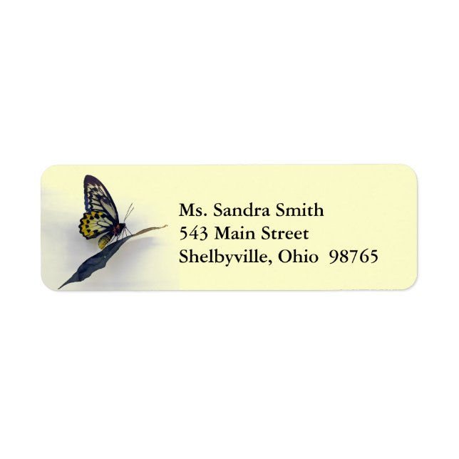 Swallowtail Butterfly Return Address Labels (Front)