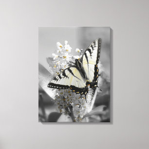 Swallowtail Butterfly Stretched Canvas Print
