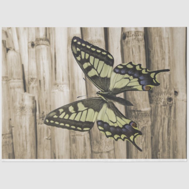 Swallowtail butterfly tissue paper (Front)