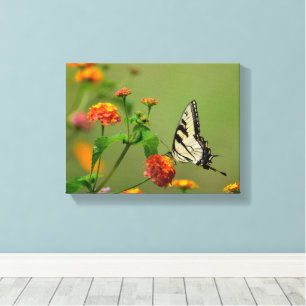 Swallowtail buttery at garden canvas print