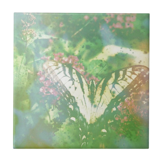 swallowtail expired film tile (Front)