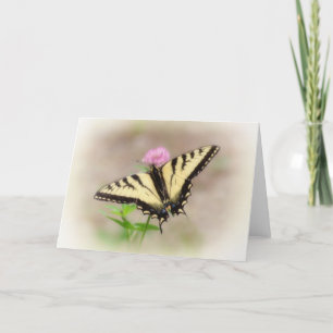 Swallowtail on Clover - Butterfly Holiday Card