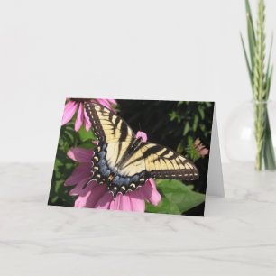 Swallowtail on Echinacea Card
