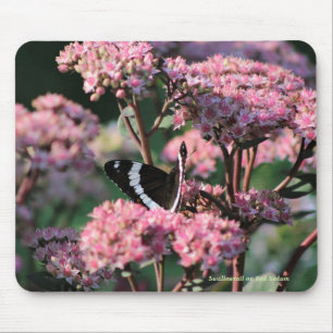 Swallowtail on Red Sedum Mouse Pad