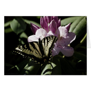Swallowtail & Rhododendron Card