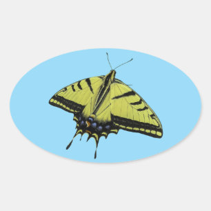 Swallowtail Western Tiger butterfly tail colours  Oval Sticker