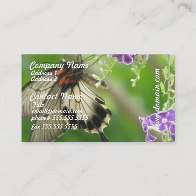 Swallowtal Butterfly Business Cards (Front)