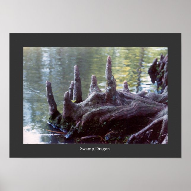 Swamp Dragon Poster (Front)