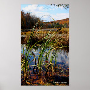 Swamp Grass Poster
