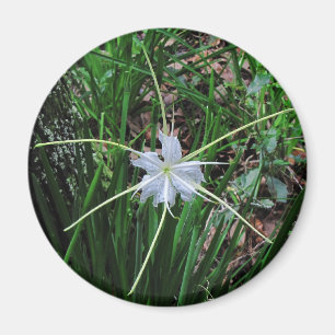 Swamp Lily Magnet