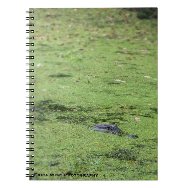 Swamp Monster Spiral Notebook (Front)
