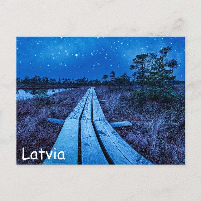 Swamp night postcard (Front)