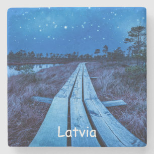 Swamp night stone coaster