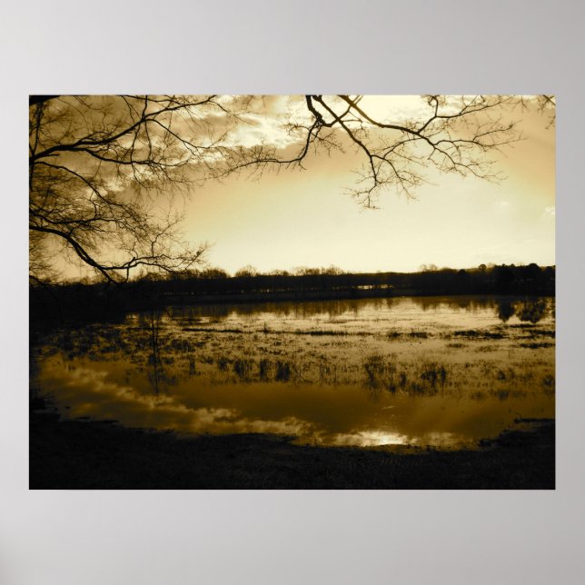 Swamp Photo Poster (Front)