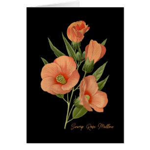 Swamp Rose Mallow Blank