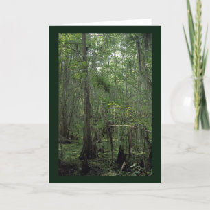 Swamp Serenity Custom Louisiana Greeting Cards
