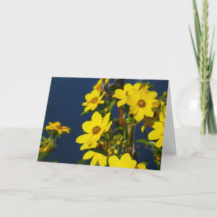 "Swamp Sunflower 1." Greeting Card