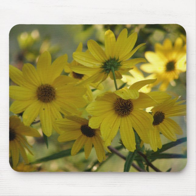 Swamp Sunflower 2 Mousepad (Front)