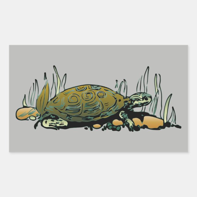 swamp turtle stickers (Front)