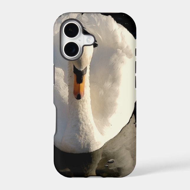 Swan (Back)