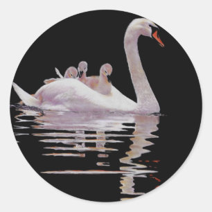 SWAN AND BROOD CLASSIC ROUND STICKER