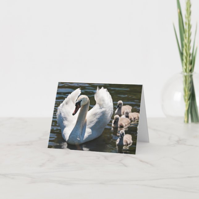 Swan and Cygnets Card (Front)
