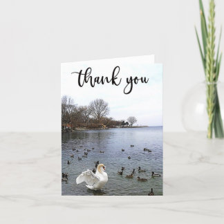 Swan and Ducks on Lake Thank You Card