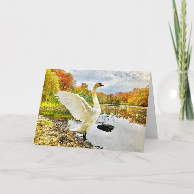 Swan and Fall Blank Greeting Card (Front)