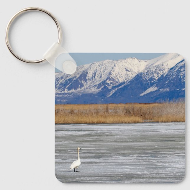 Swan and snow key ring (Front)