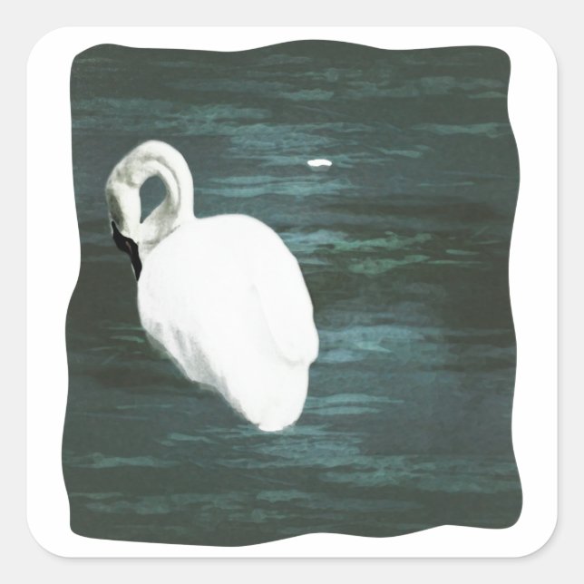 Swan at the Pond Square Sticker (Front)