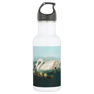 swan audubon bird white water swans 532 ml water bottle
