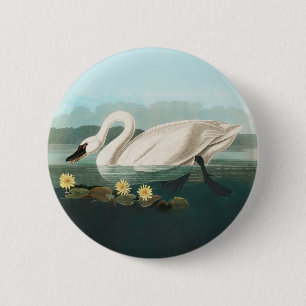 swan audubon bird white water swans 6 cm round badge