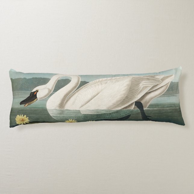 swan audubon bird white water swans body cushion (Back)