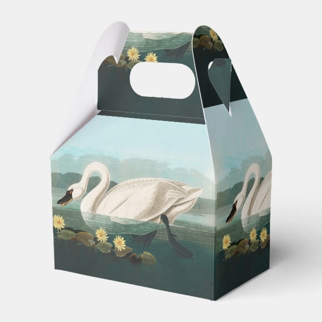 swan audubon bird white water swans favour box (Front Side)