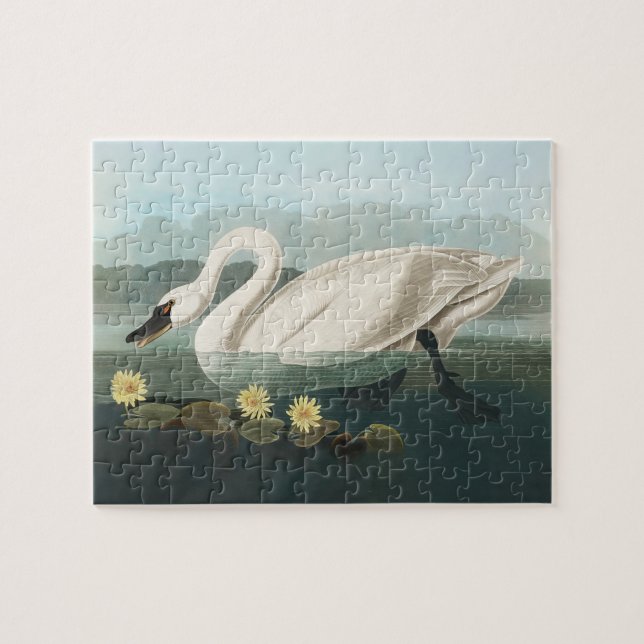 swan audubon bird white water swans jigsaw puzzle (Horizontal)