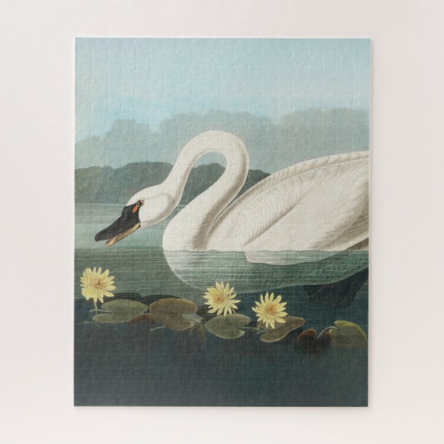 swan audubon bird white water swans jigsaw puzzle (Vertical)