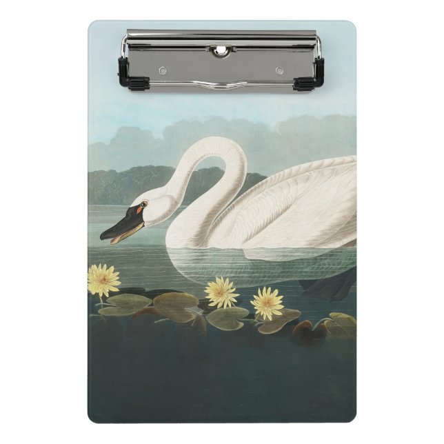 swan audubon bird white water swans mini clipboard (Front)