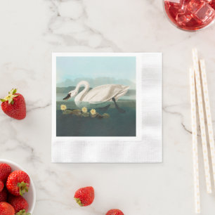 swan audubon bird white water swans napkin