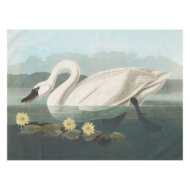 swan audubon bird white water swans tablecloth (Front (Horizontal))