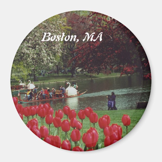 Swan Boats and Red Tulips Magnet (Front)