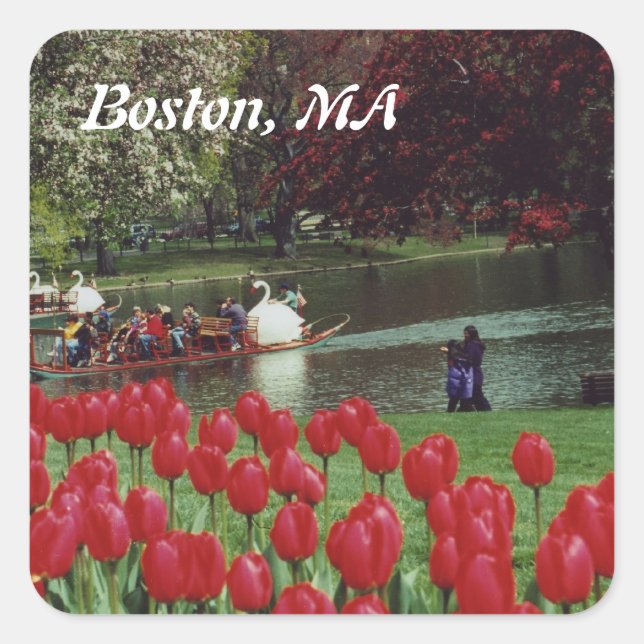 Swan Boats and Red Tulips Square Sticker (Front)