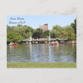 Swan Boats, Boston, MA, photography Postcard
