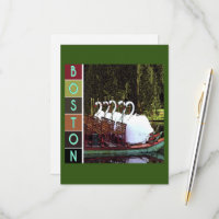 Swan Boats in Summer  