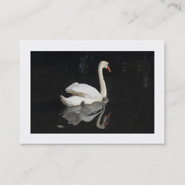 Swan (Bordered) Business Card (Front)
